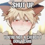 Shut Up You're Not A Catboy I Don't Care