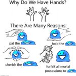 Why Do We Have Hands | image tagged in why do we have hands | made w/ Imgflip meme maker