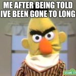 IM BACK MOTHERF***ERS | ME AFTER BEING TOLD IVE BEEN GONE TO LONG | image tagged in sesame street - angry bert | made w/ Imgflip meme maker