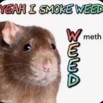 Yeah I smoke W(Meth)EED meme