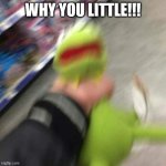 WHY YOU LITTLE!!! | WHY YOU LITTLE!!! | image tagged in kermit choking | made w/ Imgflip meme maker