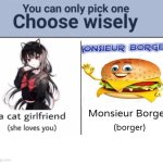 aaa | Monsieur Borger; (borger) | image tagged in choose wisely | made w/ Imgflip meme maker