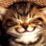 Smiley Cat meme