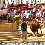 Bull charging | WHAT'S THAT DEAR? THESE BULLS ARE LOUD,SOUNDS SO CLOSE | image tagged in bull charging | made w/ Imgflip meme maker