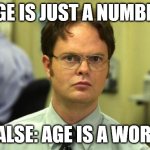 Age is just a number | AGE IS JUST A NUMBER; FALSE: AGE IS A WORD | image tagged in memes,dwight schrute | made w/ Imgflip meme maker