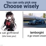 Choose wisely | lamborgini; it go vroom vroom | image tagged in choose wisely | made w/ Imgflip meme maker