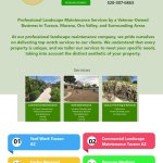Yard Work Tucson AZ
