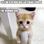 '_' Bruh | NORMAL KIDS: LOOK THE TOOTH FAIRY LEFT ME A DOLLAR; RICH KIDS: WELL THE TOOTH FAIRY LEFT ME A 10,000 DOLLAR CHANEL PURSE; THE NORMAL KID: | image tagged in memes,rich kids | made w/ Imgflip meme maker