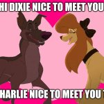 Charlie Meets Dixie | HI DIXIE NICE TO MEET YOU; HI CHARLIE NICE TO MEET YOU TOO | image tagged in charlie meets dixie,dixie | made w/ Imgflip meme maker