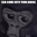 No Bananas? | CHRISTMAS IS THE ONLY TIME A RANDOM PERSON CAN COME INTO YOUR HOUSE | image tagged in no bananas | made w/ Imgflip meme maker