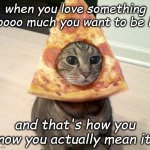 If You Love Something, You Will Be Something | when you love something soooo much you want to be it! and that's how you know you actually mean it... | image tagged in pizza cat | made w/ Imgflip meme maker