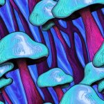 trippyshrooms GIF Template