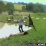 Kangaroo kicks guy into lake GIF Template