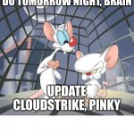 Update CloudStrike | WHAT ARE WE GOING TO DO TOMORROW NIGHT, BRAIN; UPDATE CLOUDSTRIKE, PINKY | image tagged in pinky and the brain | made w/ Imgflip meme maker