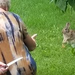 Old lady with a knife