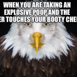 I hate this bro ?? ITS SO DIRTY | WHEN YOU ARE TAKING AN EXPLOSIVE POOP AND THE WATER TOUCHES YOUR BOOTY CHEEKS: | image tagged in bald eagle stare | made w/ Imgflip meme maker