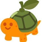 Orange Turtle