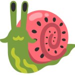 Watermelon Snail