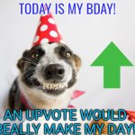 It's only acceptable to upvote beg only on your birthday | TODAY IS MY BDAY! AN UPVOTE WOULD REALLY MAKE MY DAY! | image tagged in birthday dog,memes,happy birthday,front page | made w/ Imgflip meme maker