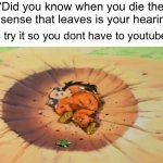 Bro shoulda skipped that one | “Did you know when you die the last sense that leaves is your hearing?”; Lets try it so you dont have to youtubers: | image tagged in yamcha dead,memes | made w/ Imgflip meme maker