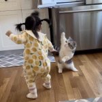 Baby fights kitten