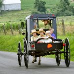 amish buggy kids