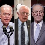 Democratic Elites