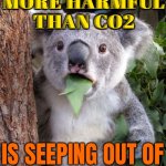 A gas '80 times more harmful than CO2' is seeping out of a Sydney mine | A GAS 80 TIMES
MORE HARMFUL
THAN CO2; IS SEEPING OUT OF
A SYDNEY MINE | image tagged in shocked koala,meanwhile in australia,australia,environmental,carbon,coal | made w/ Imgflip meme maker