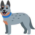 Australian Cattle Dog