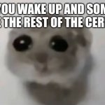 Gotta have a sandwich or smth | WHEN YOU WAKE UP AND SOMEBODY ATE THE REST OF THE CEREAL | image tagged in sad hamster | made w/ Imgflip meme maker
