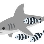 Shark and Pilot Fish