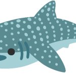 Whale Shark