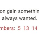 Fortune 15