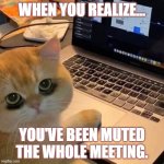 When you realize... | WHEN YOU REALIZE... YOU'VE BEEN MUTED THE WHOLE MEETING. | image tagged in when you realize | made w/ Imgflip meme maker