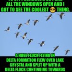 Cool ? event | TODAY'S ☀️ IS 6:33 AM TO 8:44 SUNDOWN. SO I HAD ALL THE WINDOWS OPEN AND I GOT TO SEE THE COOLEST 😎 THING. A HUGE FLOCK FLYING IN DELTA FORMATION FLEW OVER LAKE CRYSTAL AND SPLIT UP WITH A DELTA FLOCK CONTINUING TOWARDS ORLANDO AND ONE TOWARDS CLERMONT AND THE THIRD TOWARDS HAINES CITY. | image tagged in cool,ducks,flying,nature,sunrise,funny | made w/ Imgflip meme maker