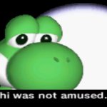 But yoshi was not amused