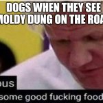 Gordon Ramsay some good food | DOGS WHEN THEY SEE MOLDY DUNG ON THE ROAD | image tagged in gordon ramsay some good food | made w/ Imgflip meme maker