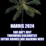 Coconut Palm (PNG) | HARRIS 2024; SHE AIN'T JUST THROWING COCONUTS!! 
ENTIRE GROVES ARE BACKING HER!! | image tagged in coconut palm png | made w/ Imgflip meme maker