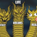 Life | LIFE; DREAMS; REALITY; FANTASY | image tagged in three-headed dragon,fun,gifs,funny,life | made w/ Imgflip meme maker