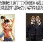 If you're both a Percy Jackson fan and a Harry Potter fan, you know | NEVER LET THESE GUYS
MEET EACH OTHER | image tagged in percy jackson,harry potter | made w/ Imgflip meme maker