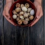 Pugo