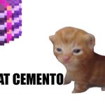 Cat | I EAT CEMENTO | image tagged in blank white template | made w/ Imgflip meme maker