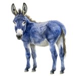 Blue Donkey