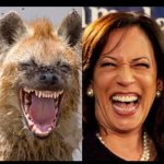 hyena harris