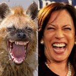 Kamala Kackle