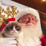 Grumpy cat and santa