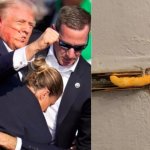 Secret Service director Cheetos