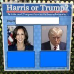 Harris or Trump on the issues 2024 Election meme