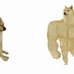 Smol doge vs buff doge