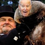 Biden Winter Groundhog